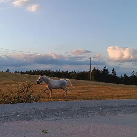 Prázdninový dům Brvnara Tarski Proplanak