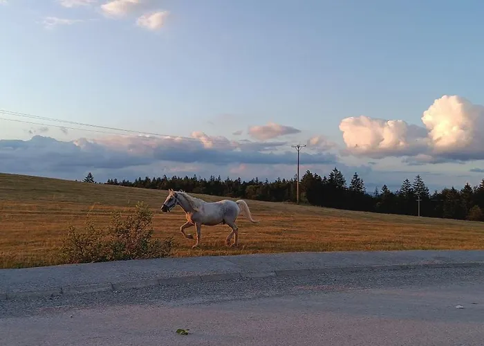 Ferienhaus Brvnara Tarski Proplanak